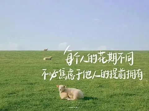 毕业5年后拉开差距的真相