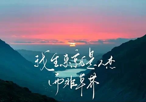 变强最快的方式：与野心勃勃之人频繁交手